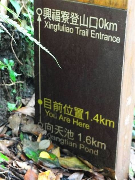 興福寮登山口|興福寮上向天池步道(出清天宮)